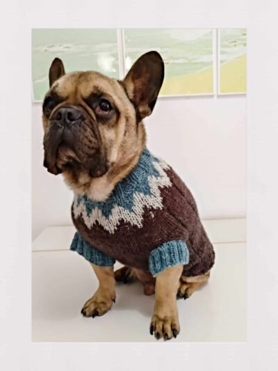 DogSweaterPicos by Manoplas Ana Conde