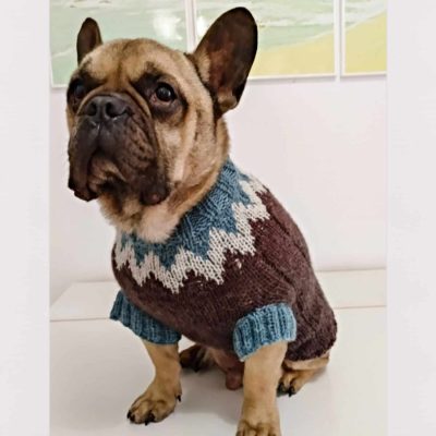 DogSweaterPicos by Manoplas Ana Conde