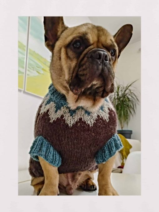 DogSweaterPicos by AnaConde