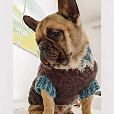 DogSweaterPicos by AnaConde