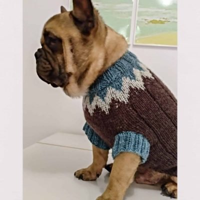 DogSweaterPicos by AnaConde