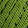 5203 Greenery