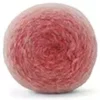 9008 Prunus